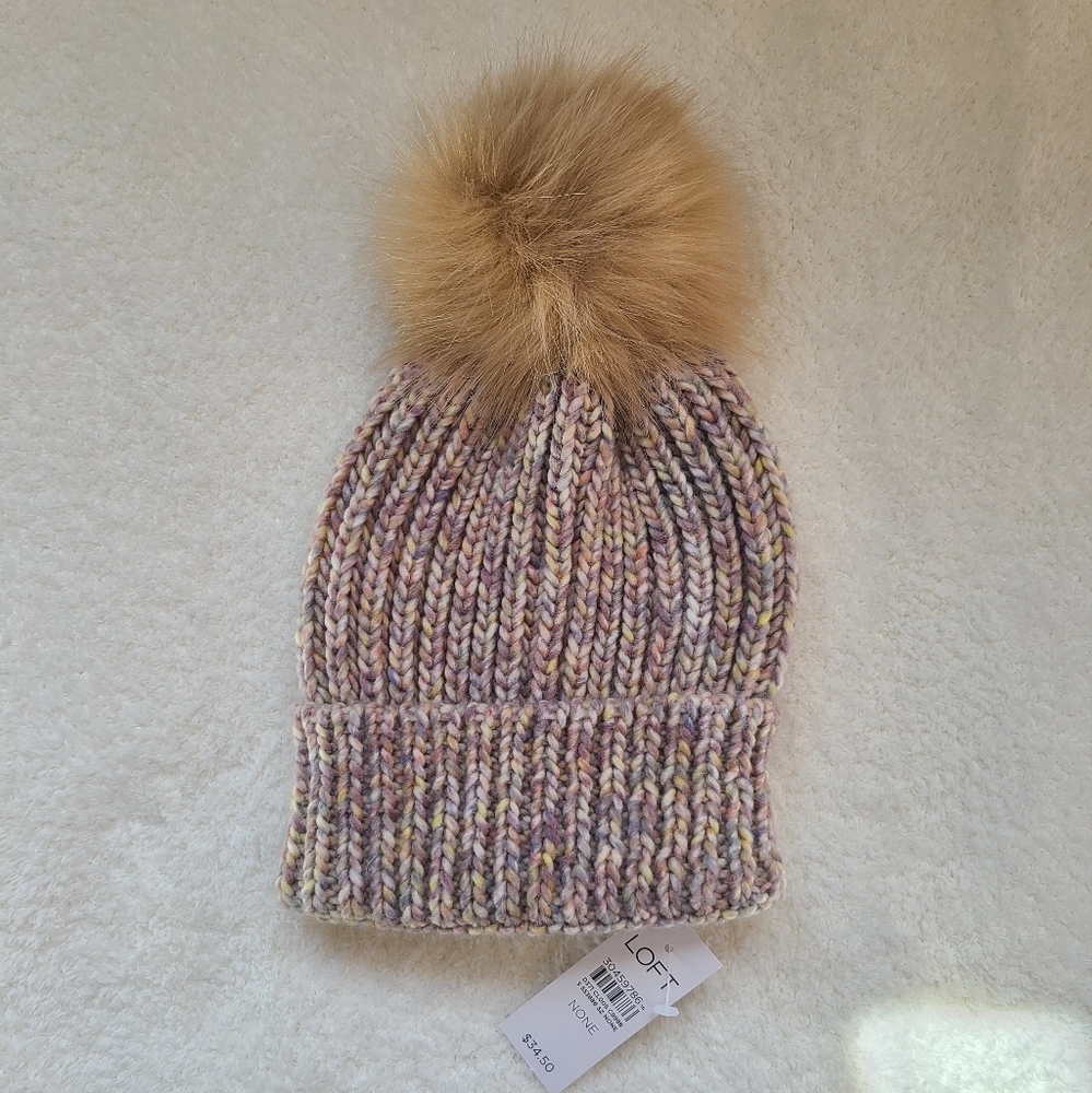 NWT LOFT multi color winter knit hat with pom